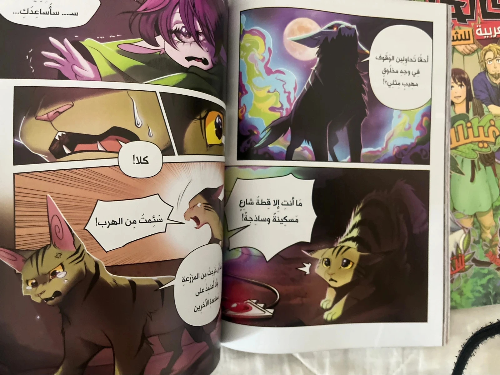 Mangas arabe – photo 6